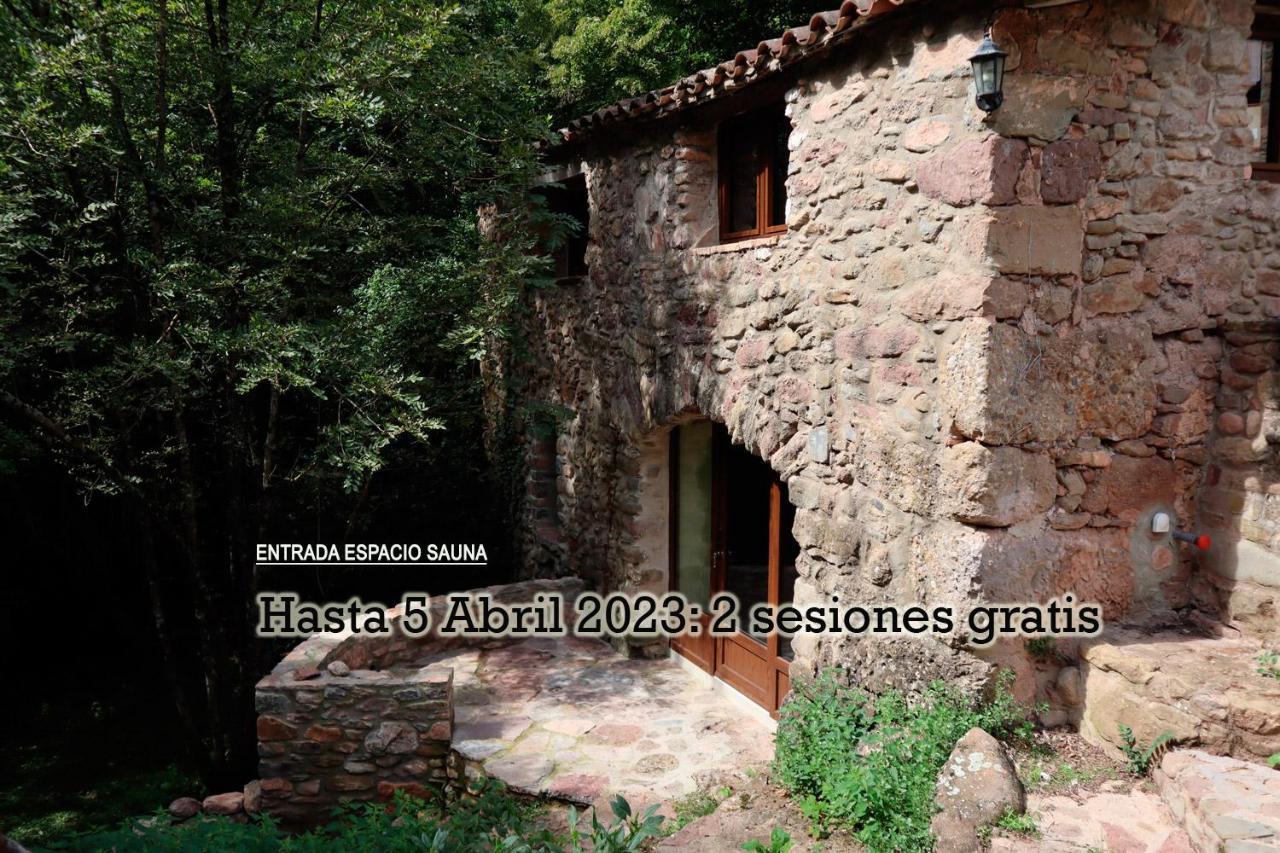 El Paller Del Moli De La Plana Riudaura ภายนอก รูปภาพ